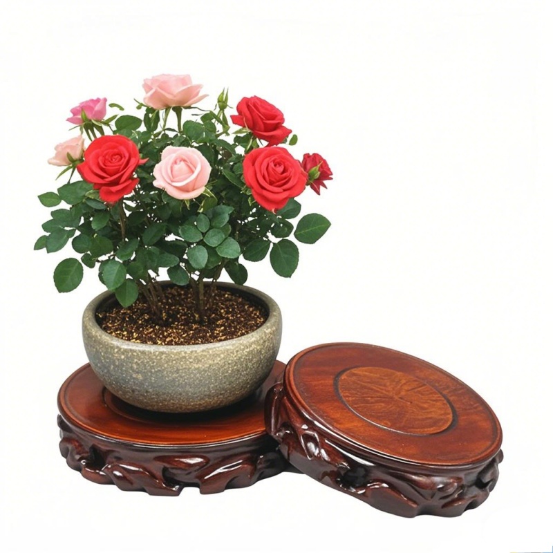 Suporte de Madeira para Planta - Coffee Tea For Garden avaliação e preço